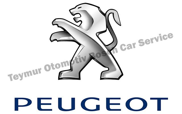 Gaziantep Peugeot Servisi